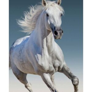 Vit galopperande häst - Fleecefilt Pläd 100x140cm